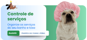 Relatórios que Impulsionam seu Negócio